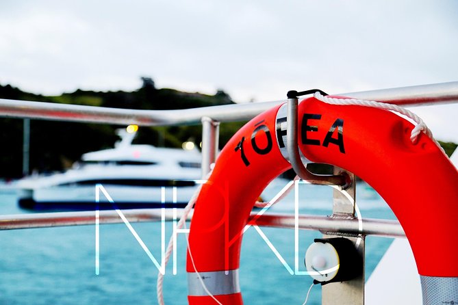 Auckland Harbour Cruise - What the boat is like in good and bad weather