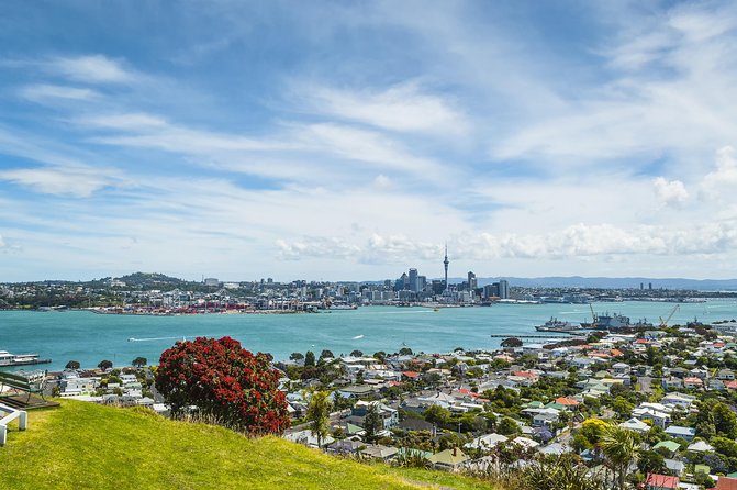 Auckland Harbour Cruise - Timing, meeting point, and the dock detail that matters