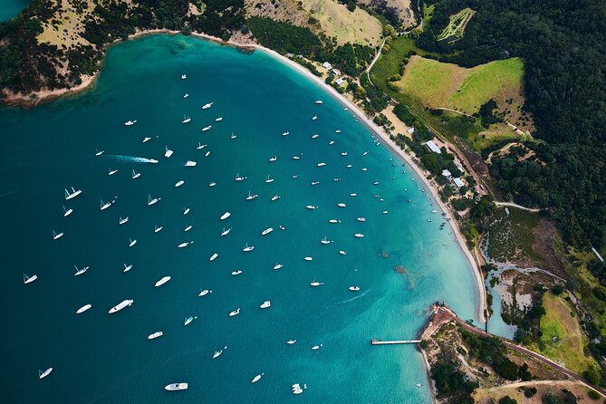 Auckland Harbour Sailboat Cruise Including Three Course Dinner - Practical details that affect the experience