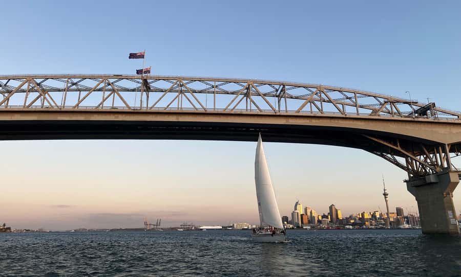 Auckland: Harbour Sailing Cruise with 3-Course Dinner - Why this sailing feels different from a standard dinner cruise