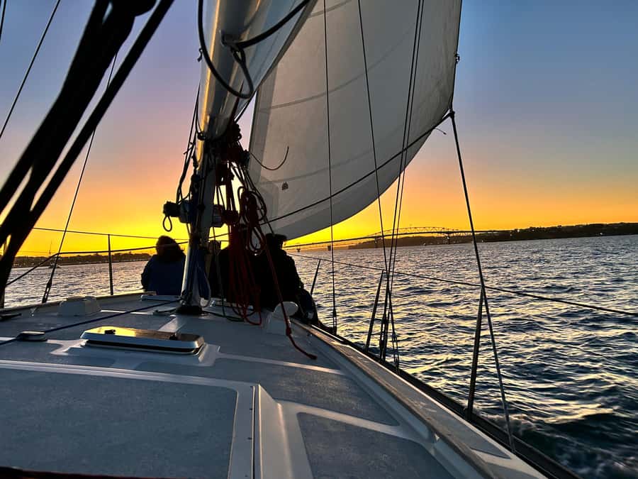Auckland: Harbour Sailing Cruise with 3-Course Dinner - Meeting at Viaduct Harbour