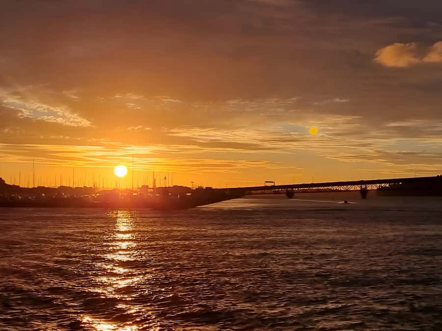 Auckland: Nightlights Harbour Cruise with Canapés and Drink - Canapés, one drink, and a relaxed pace