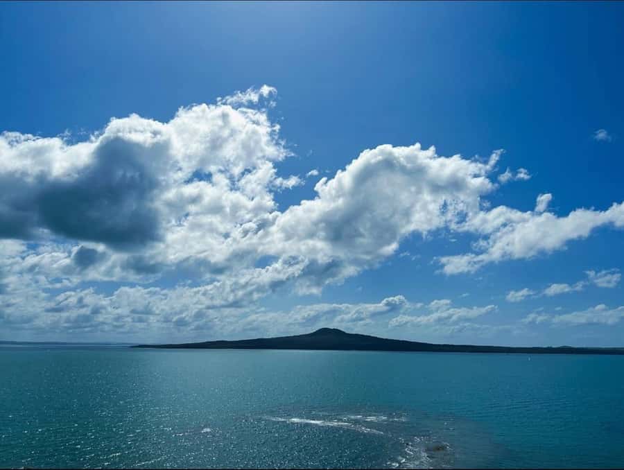 Auckland: Scenic Harbour Cruise with Live Commentary - A drink, a deck, and a slower pace