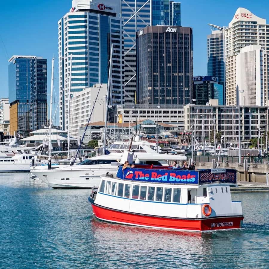 Auckland: Scenic Harbour Cruise with Live Commentary - Who will get the most from this cruise