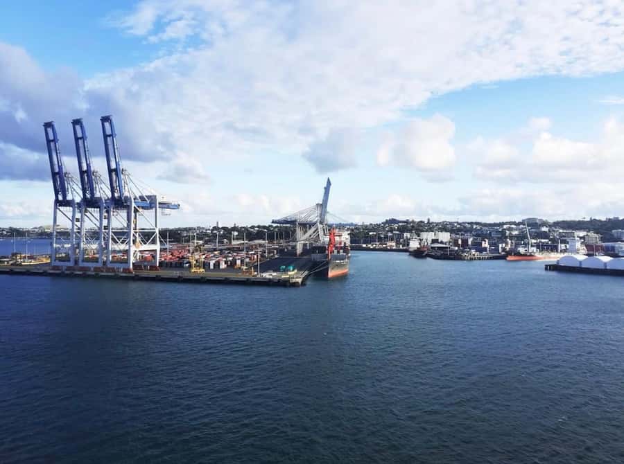 Auckland: Scenic Harbour Cruise with Live Commentary - Starting at Z Pier on Westhaven Drive