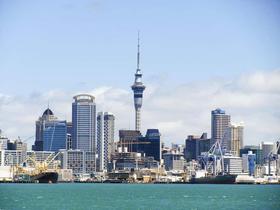 Auckland: Scenic Wine and Cheese Harbour Cruise - Why a 90-minute harbour cruise works so well
