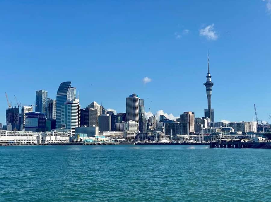 Auckland: Scenic Wine and Cheese Harbour Cruise - Bean Rock Lighthouse and the harbor details