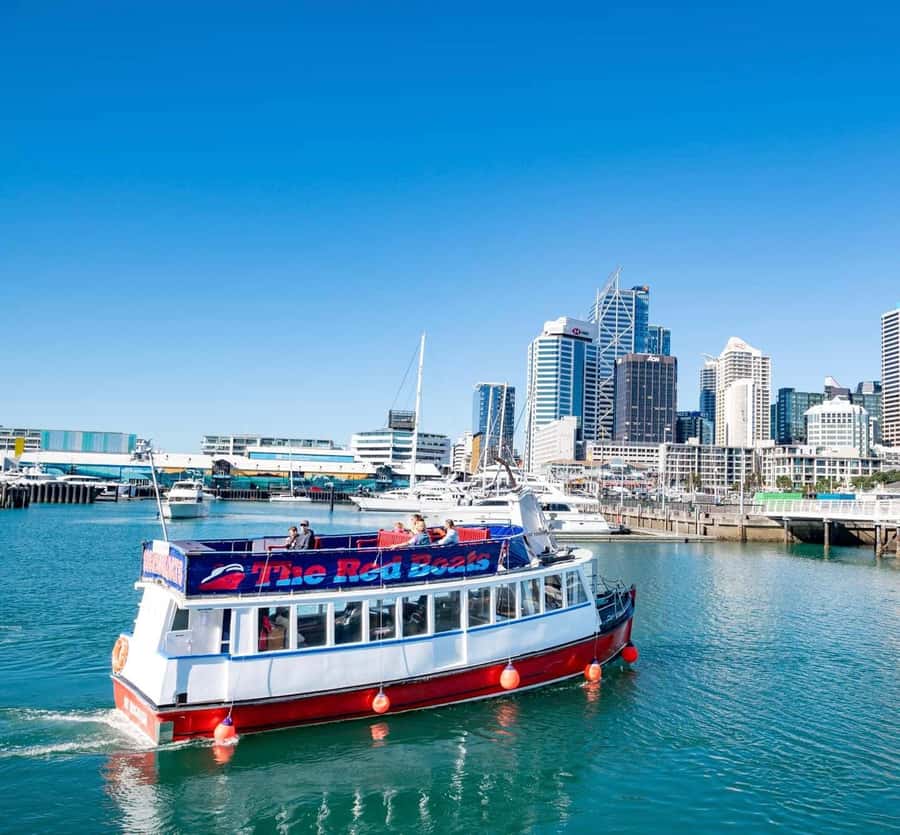 Auckland: Scenic Wine and Cheese Harbour Cruise - How the $33 price holds up