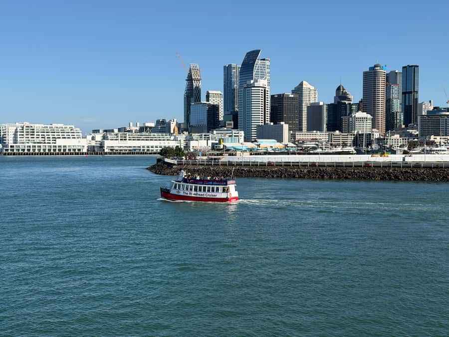 Auckland: Scenic Wine and Cheese Harbour Cruise - Cheese, charcuterie, and your included drink