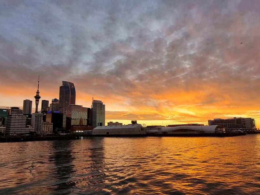 Auckland Sunset Harbour Cruise - Key points at a glance