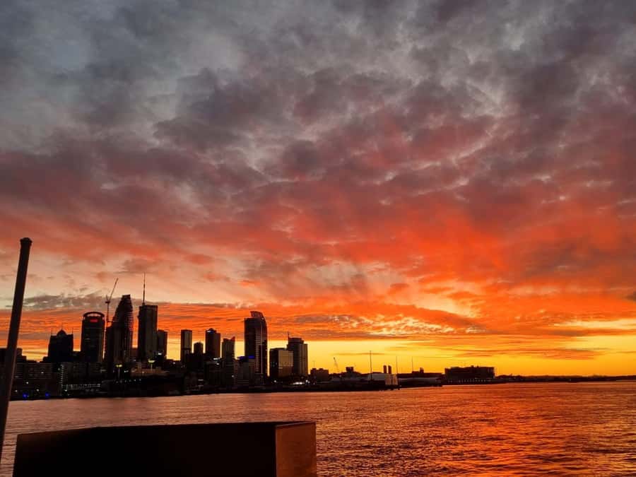 Auckland Sunset Harbour Cruise - Finding The Red Boats at Westhaven Marina