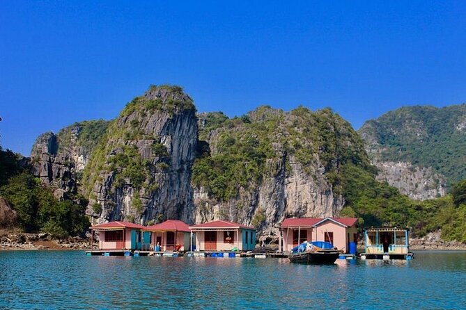 Bai Tu Long Bay 2 Day 1 Night Cruise - Vung Vieng by bamboo boat or kayak