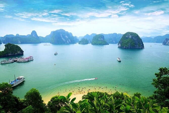 Bai Tu Long Bay 2 Day 1 Night Cruise - Meals, service, and the onboard rhythm