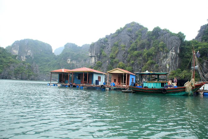 Bai Tu Long boutique & budget cruise 2D: Kayaking, swimming at pristine palaces - What the guide and crew add
