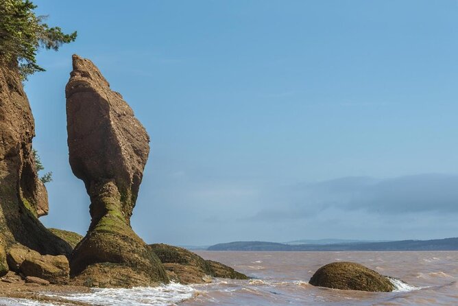Bay of Fundy Tour by Bus - Why the tides make this Saint John tour different