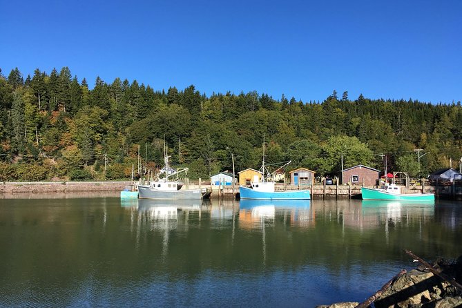 Bay of Fundy Tour by Bus - Starting at the cruise terminal on Water Street