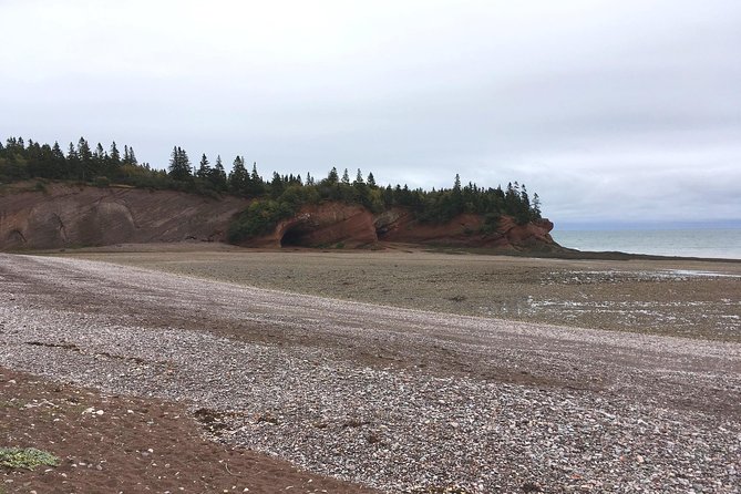 Bay of Fundy Tour by Bus - Saint John City Market keeps the city portion lively