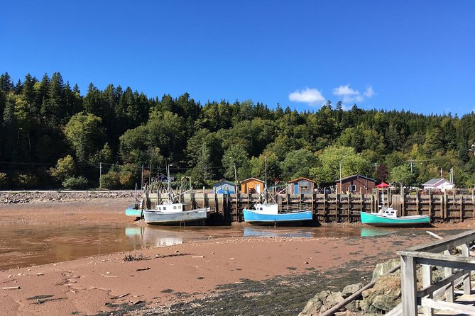 Bay of Fundy Tour by Bus - The Bay of Fundy route is the main event