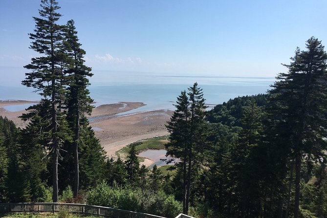 Bay of Fundy Tour by Bus - Covered bridges, lighthouses, and small roadside stops
