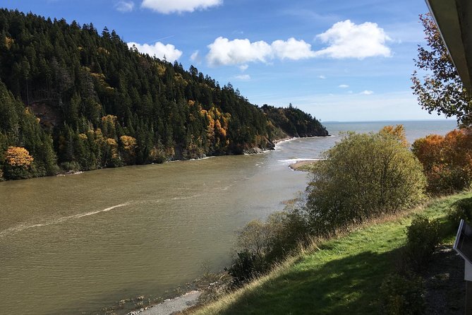 Bay of Fundy Tour by Bus - Guides can shape the whole experience