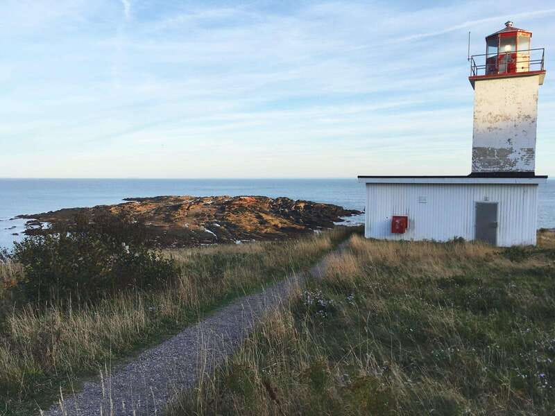 Bay of Fundy Tour by Mini Van - Who should book this Saint John outing