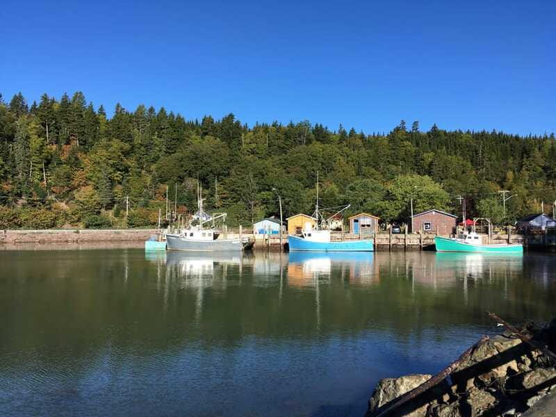 Bay of Fundy Tour by Mini Van - What the $650 group price really means