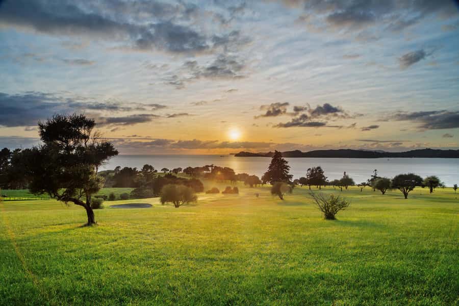 Bay of Islands: 1 Hour Scenic Bay of Islands Tour - What the one-hour schedule means in practice