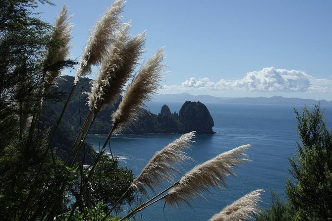 Bay of Islands 2-Day Small Group Tour & Cruise from Auckland - Opononi offers lunch beside Hokianga Harbour