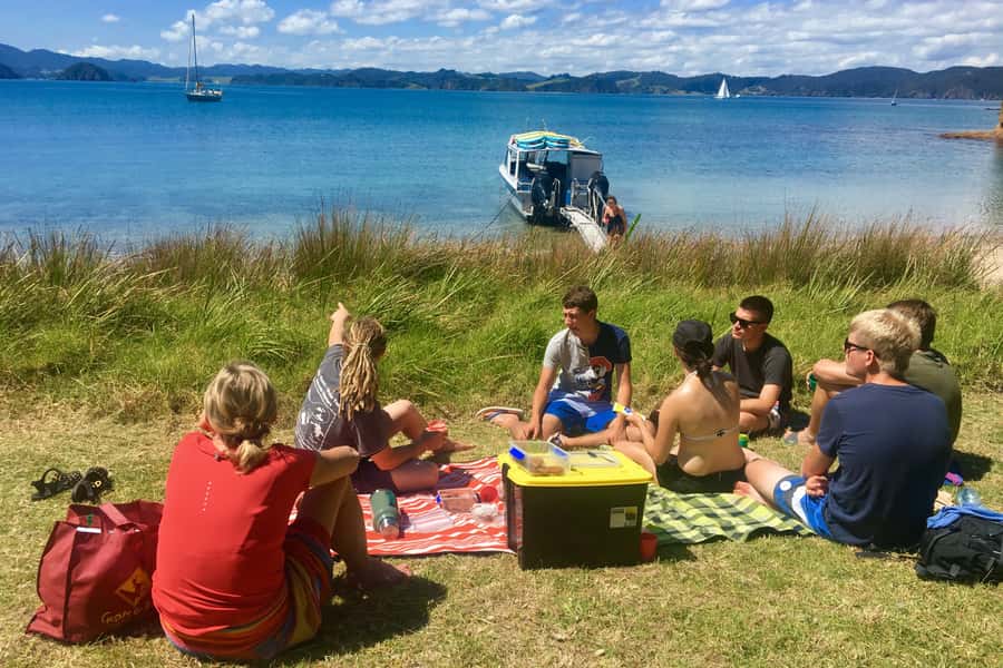 Bay of Islands: 4.5 Hour Day Cruise and Island Getaway Tour - Value, timing, and booking flexibility