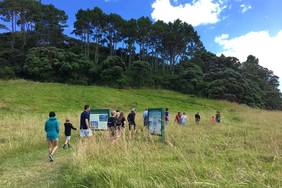 Bay of Islands: 4.5 Hour Day Cruise and Island Getaway Tour - Wildlife watching across 144 islands
