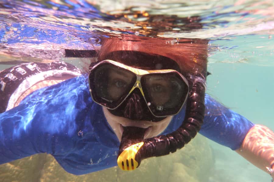Bay of Islands: 4.5 Hour Day Cruise and Island Getaway Tour - Food, equipment, and what to pack