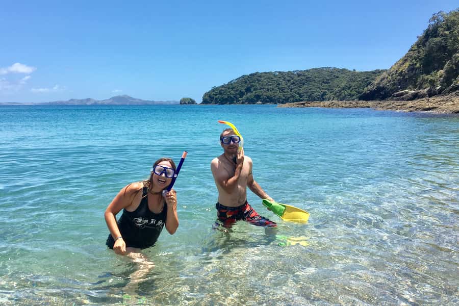 Bay of Islands: 4.5 Hour Day Cruise and Island Getaway Tour - Who will get the most from this tour?