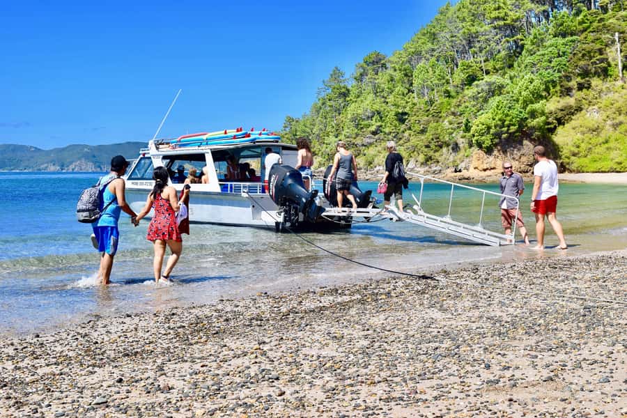 Bay of Islands: 4.5 Hour Day Cruise and Island Getaway Tour - Roberton Island and the 360-degree view