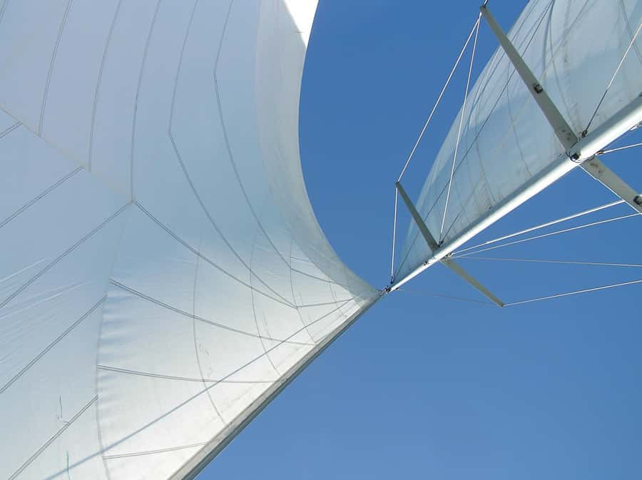 Bay of Islands: Awesome Day Sailing Tour with Island Stop - Key points to know before booking