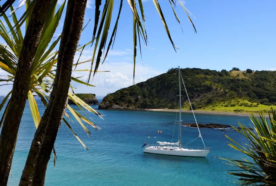 Bay of Islands: Awesome Day Sailing Tour with Island Stop - Watching for dolphins, penguins, and seabirds
