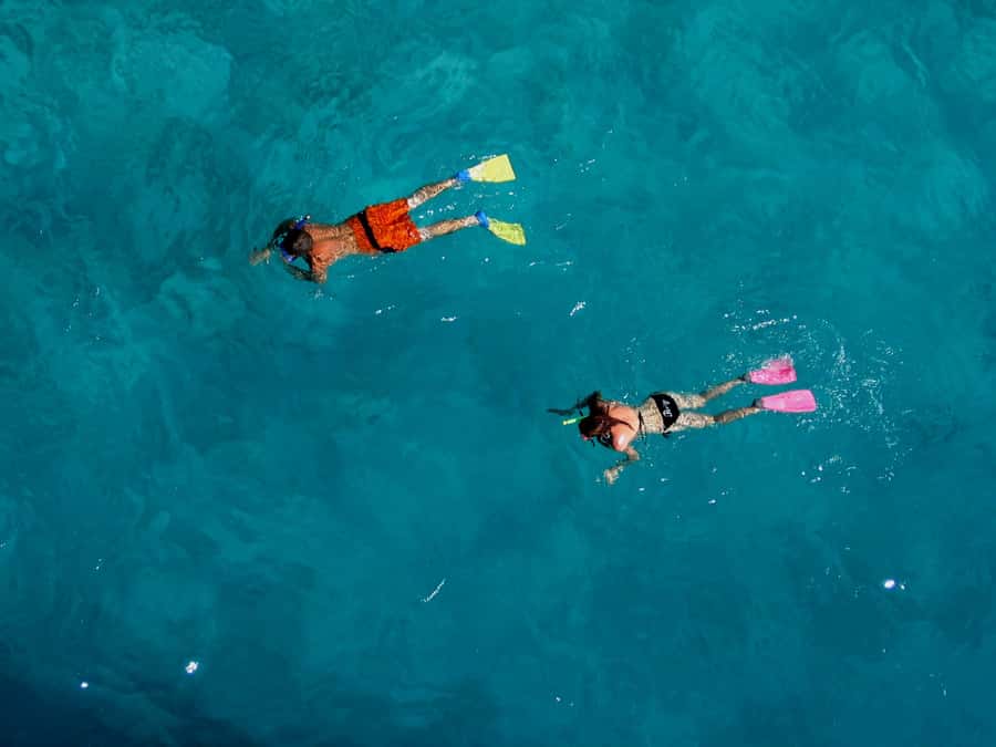 Bay of Islands: Awesome Day Sailing Tour with Island Stop - Timing, comfort, and practical limits