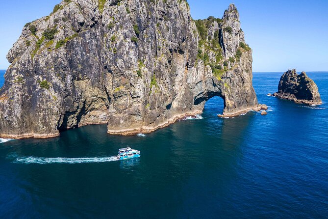 Bay of Islands Cruise & Island Tour - Snorkel, Hike,Swim,Wildlife - Key details before you book