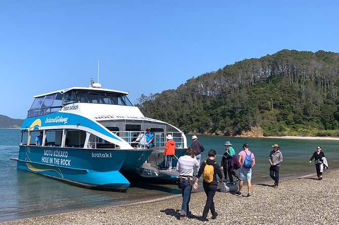 Bay of Islands Cruise & Island Tour - Snorkel, Hike,Swim,Wildlife - A smart way to see the Bay of Islands in half a day