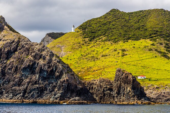 Bay of Islands Cruise & Island Tour - Snorkel, Hike,Swim,Wildlife - Wildlife spotting on the way