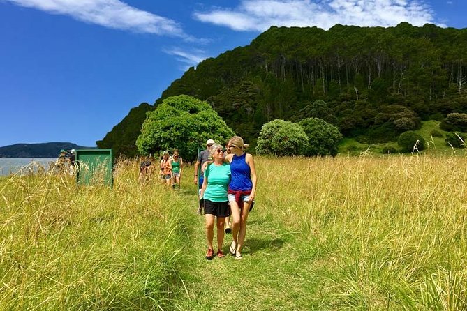 Bay of Islands Cruise & Island Tour - Snorkel, Hike,Swim,Wildlife - The second island: swimming, snorkeling, or simply resting