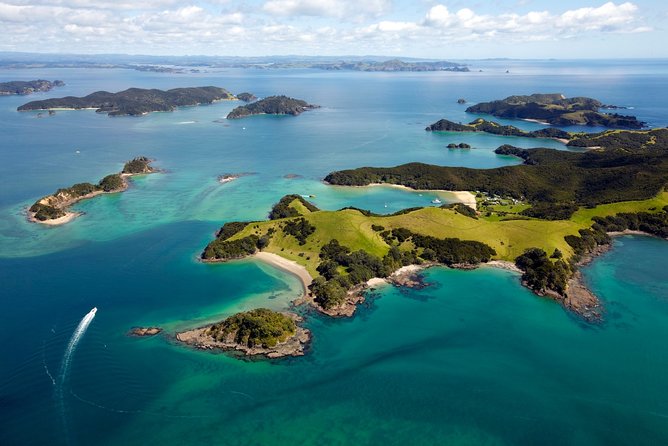 Bay of Islands Cruise & Island Tour - Snorkel, Hike,Swim,Wildlife - Who should book this cruise?