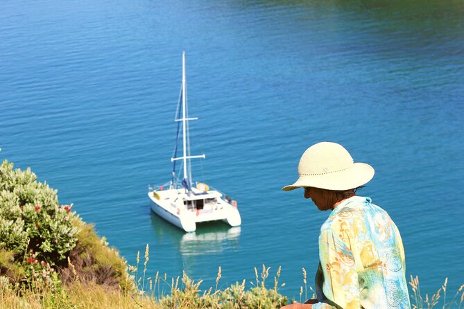 Bay of Islands: Day Sailing Cruise with Island Stop and Lunch - Leaving Paihia Harbour at 9:30 am