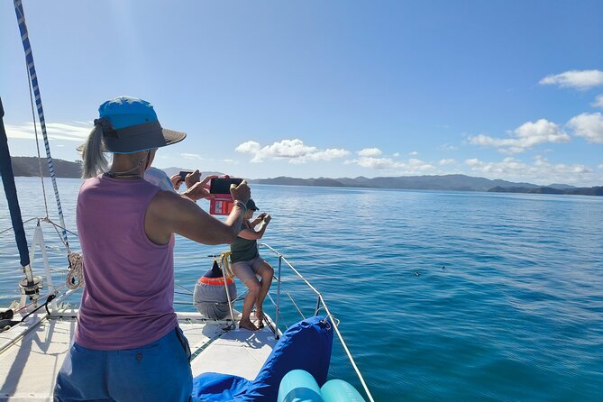 Bay of Islands: Day Sailing Cruise with Island Stop and Lunch - What makes the small group worth the price