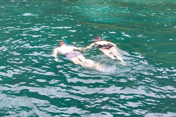 Bay of Islands: Day Sailing Cruise with Island Stop and Lunch - Who will enjoy this outing most