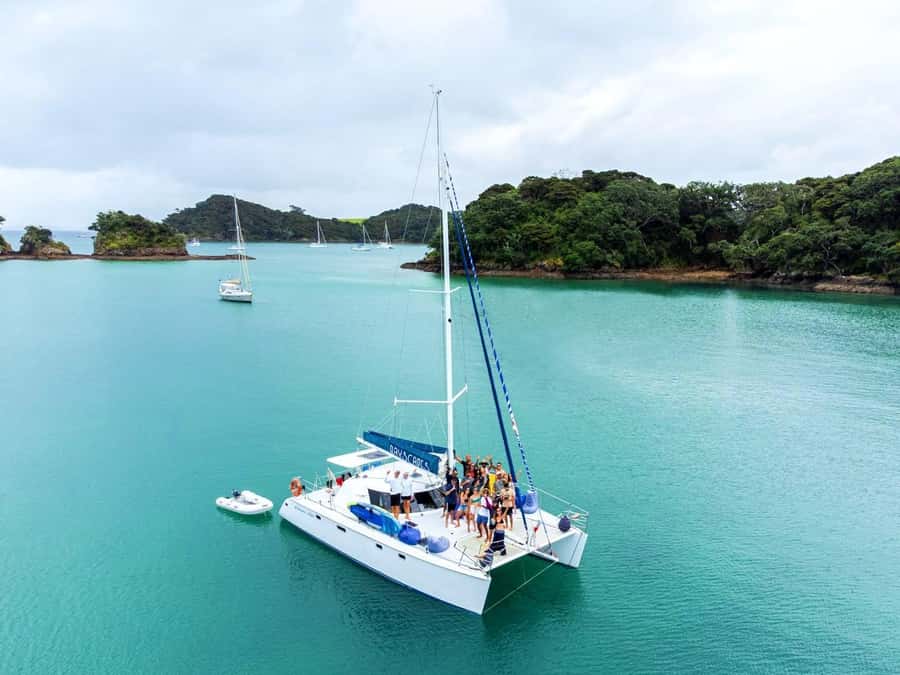 Bay of Islands: Day Sailing Cruise with Island Stop & Lunch - Practical packing advice
