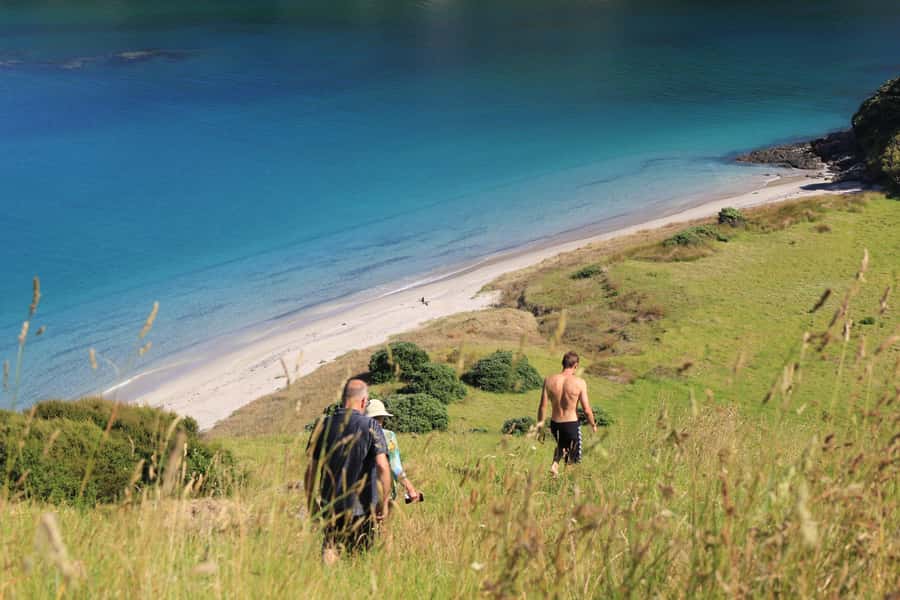 Bay of Islands: Day Sailing Cruise with Island Stop & Lunch - Lunch with a view