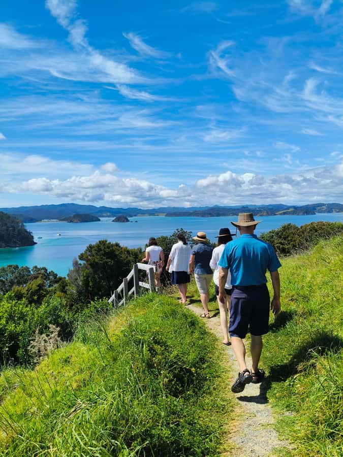 Bay of Islands: Day Sailing Cruise with Island Stop & Lunch - Sailing across the Bay of Islands