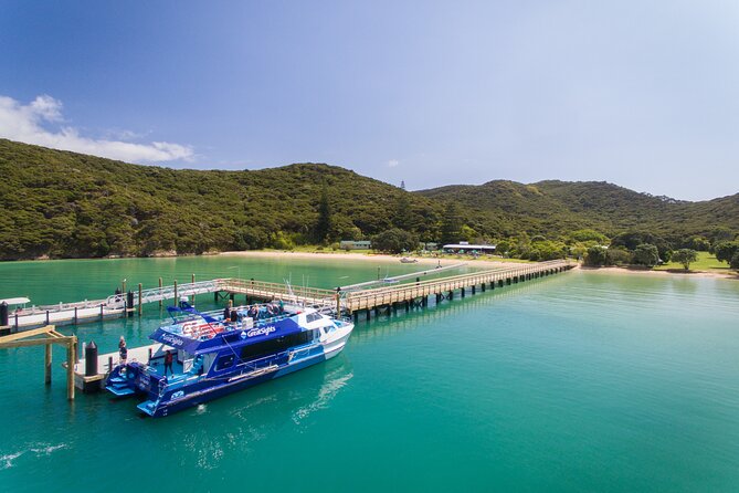 Bay of Islands Discovery Experience from Auckland incl. Hole In The Rock Cruise - Auckland to Paihia: a scenic but lengthy start