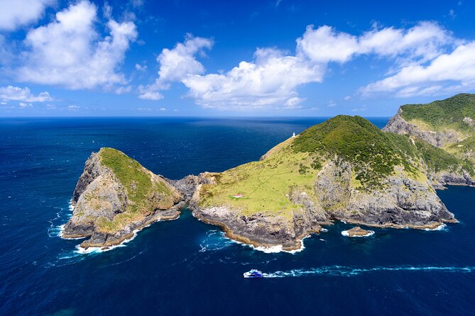 Bay of Islands Explorer Experience Small Group Tour From Auckland - Boarding the Bay of Islands Cruise
