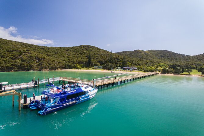 Bay of Islands Explorer Experience Small Group Tour From Auckland - Auckland Pickup and the Northbound Drive
